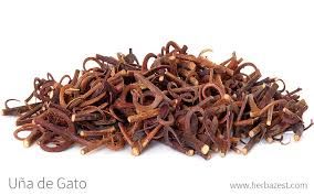 Uña de Gato/ Ancaría 50 g