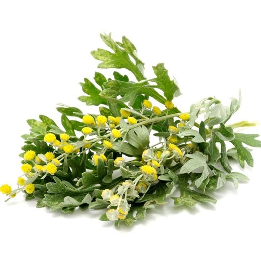 Ajenjo Hierba 50 g