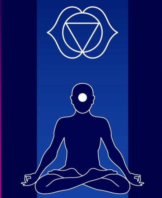 Tomillo Hierba Sagrada Cuidado de los Chakras 30g